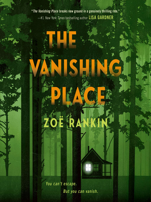 Cover image for The Vanishing Place